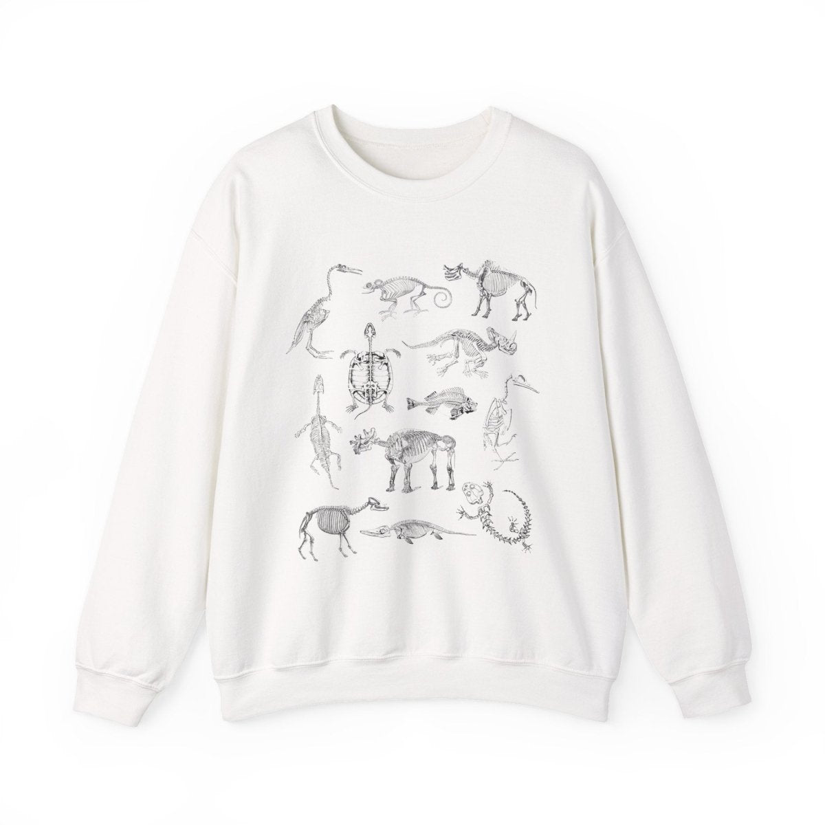 Animal Skeleton Sweatshirt | Paleontology Cotton Blend Crewneck