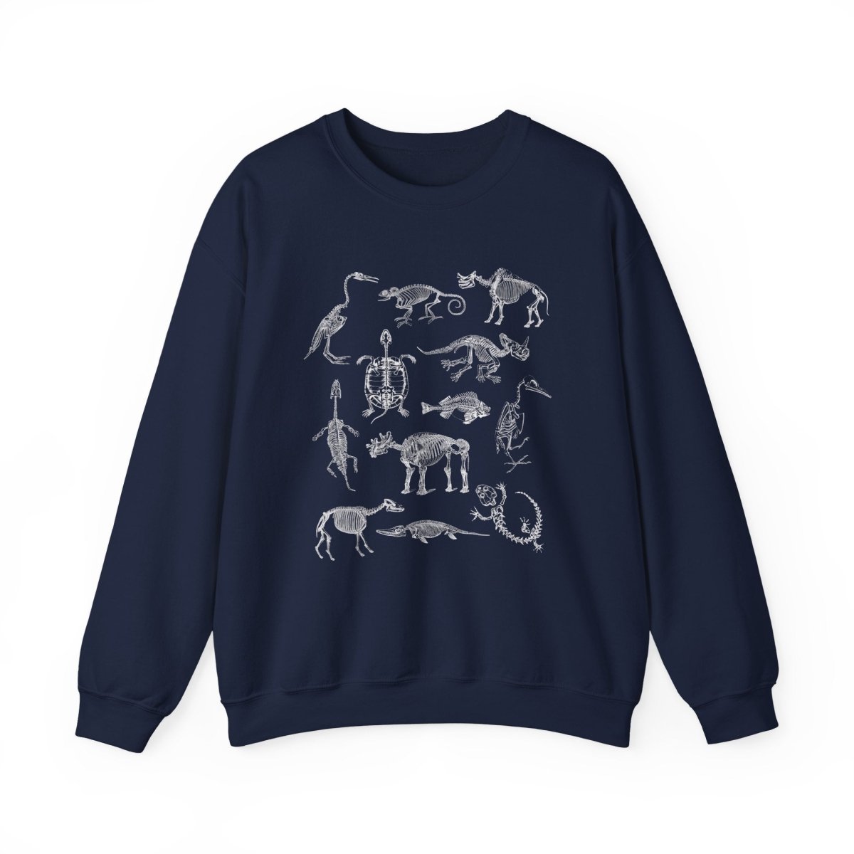 Animal Skeleton Sweatshirt | Paleontology Cotton Blend Crewneck
